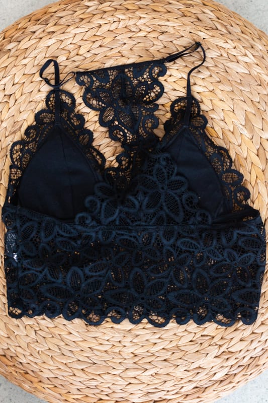 Eye Of The Sun Padded Bralette - Black  |  CORE  - Three Bird Nest